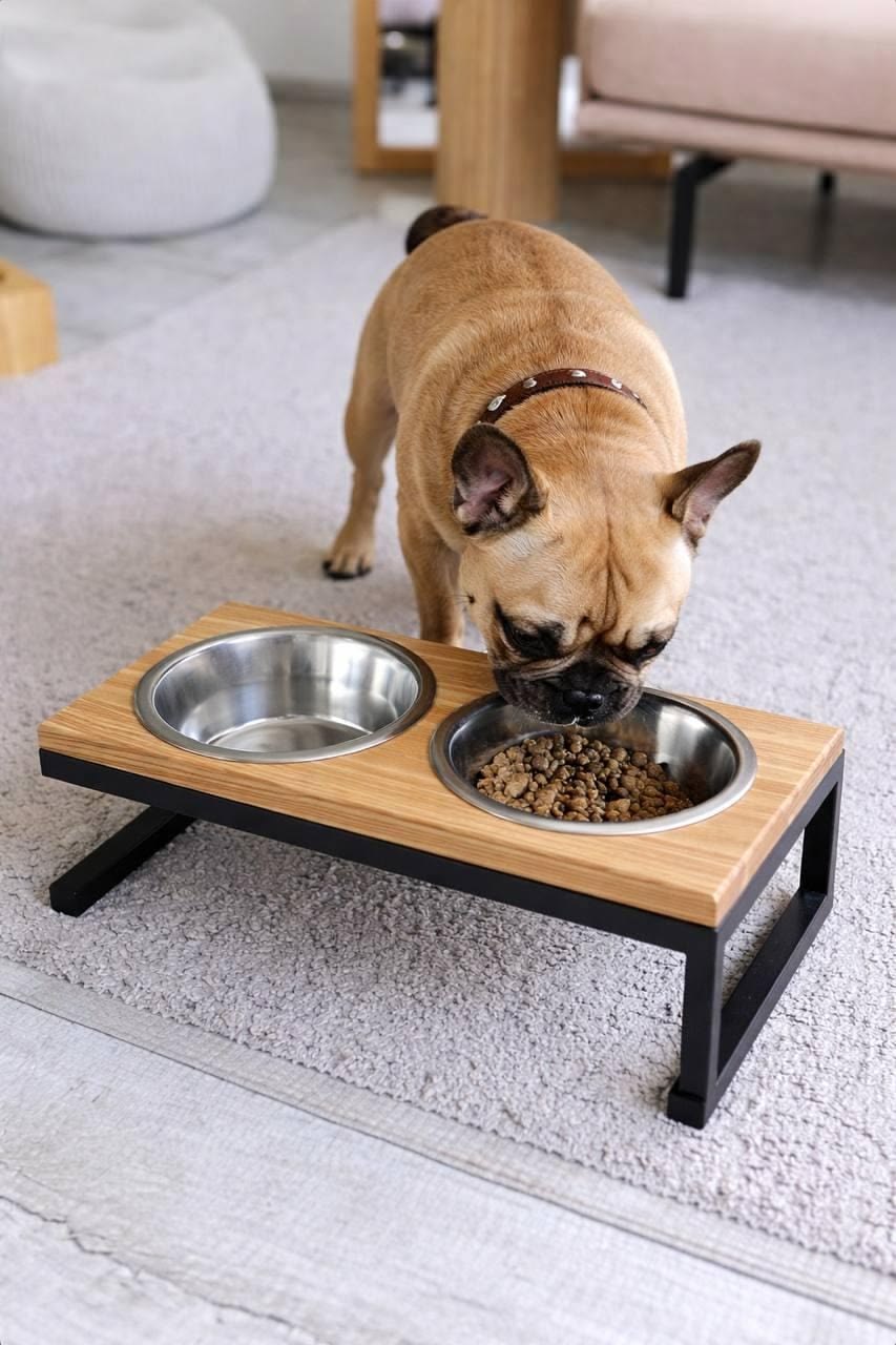 DOG FEEDER.jpg